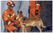 搜救犬圖傳定位系統